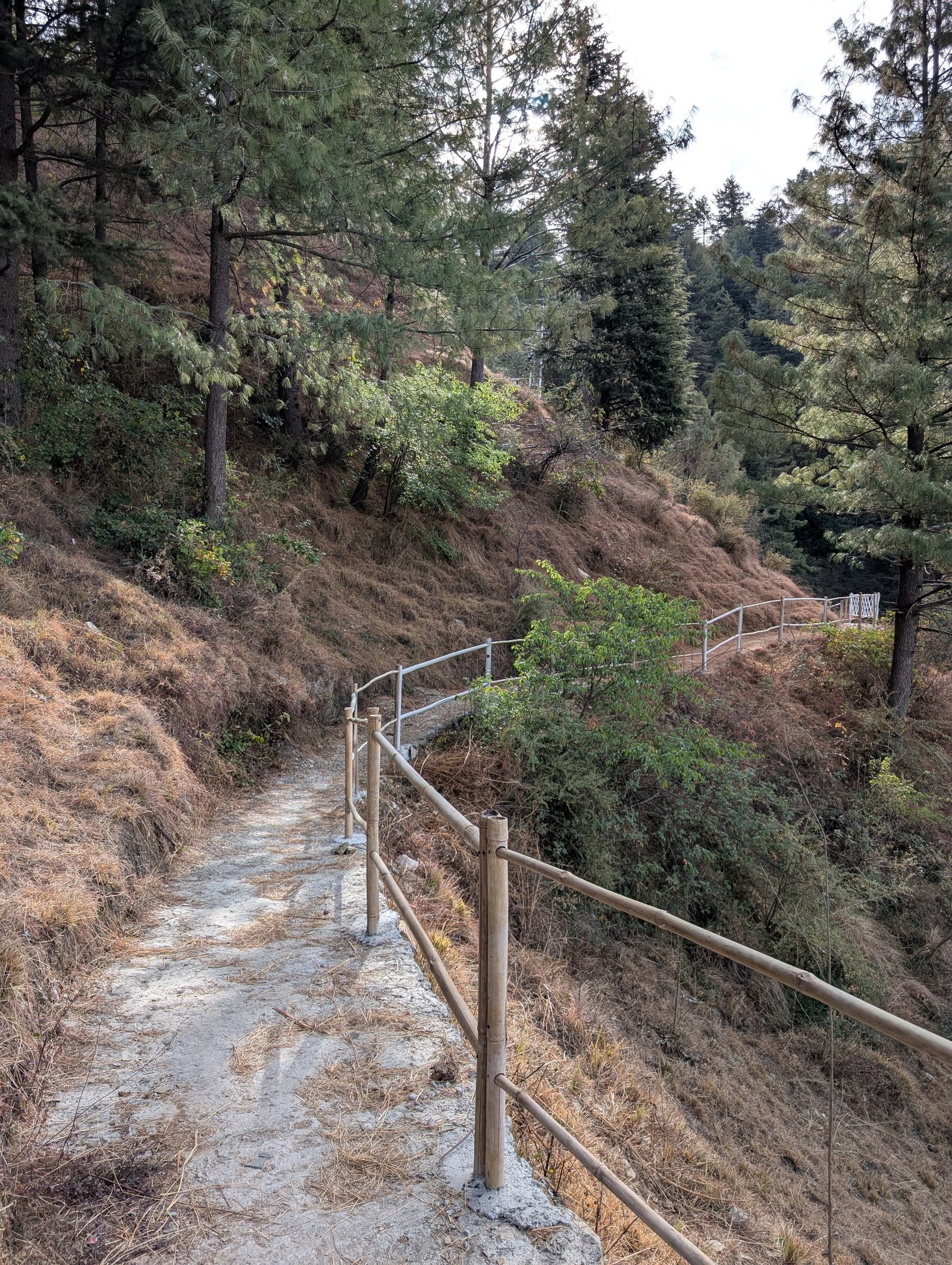walking trails